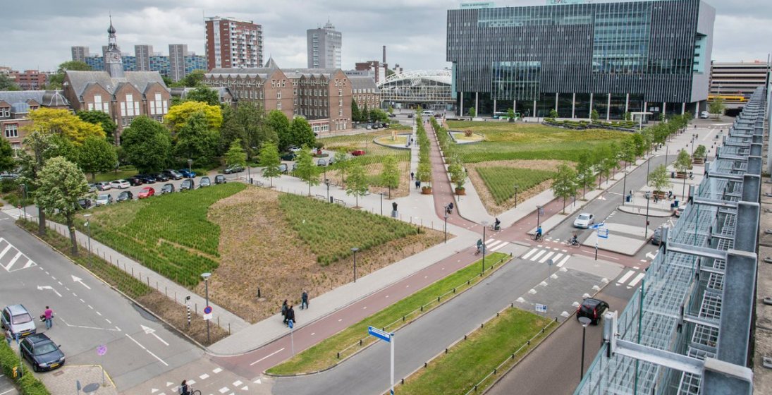 Gemeente Leiden