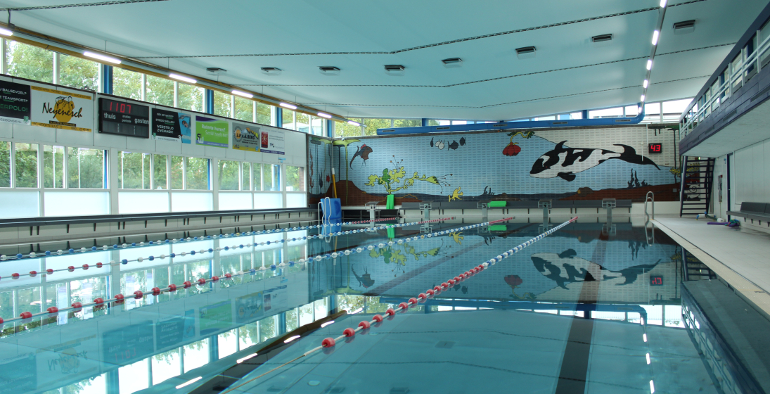 BAR- Organisatie - Project