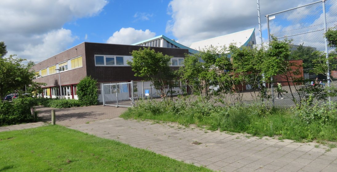 Humanitas DMH - Project