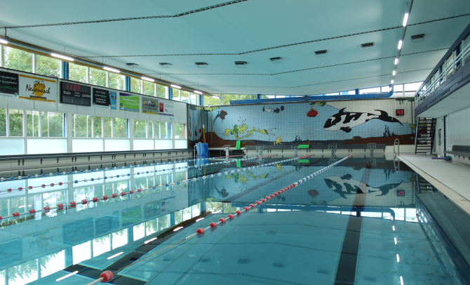 BAR- Organisatie - Project